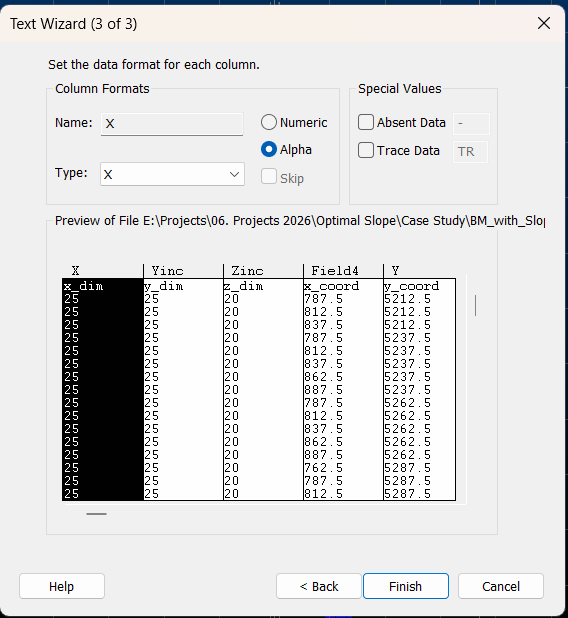 Datamine text wizard field type assignment